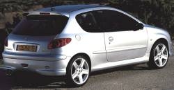 Peugeot 206 2005 rear view